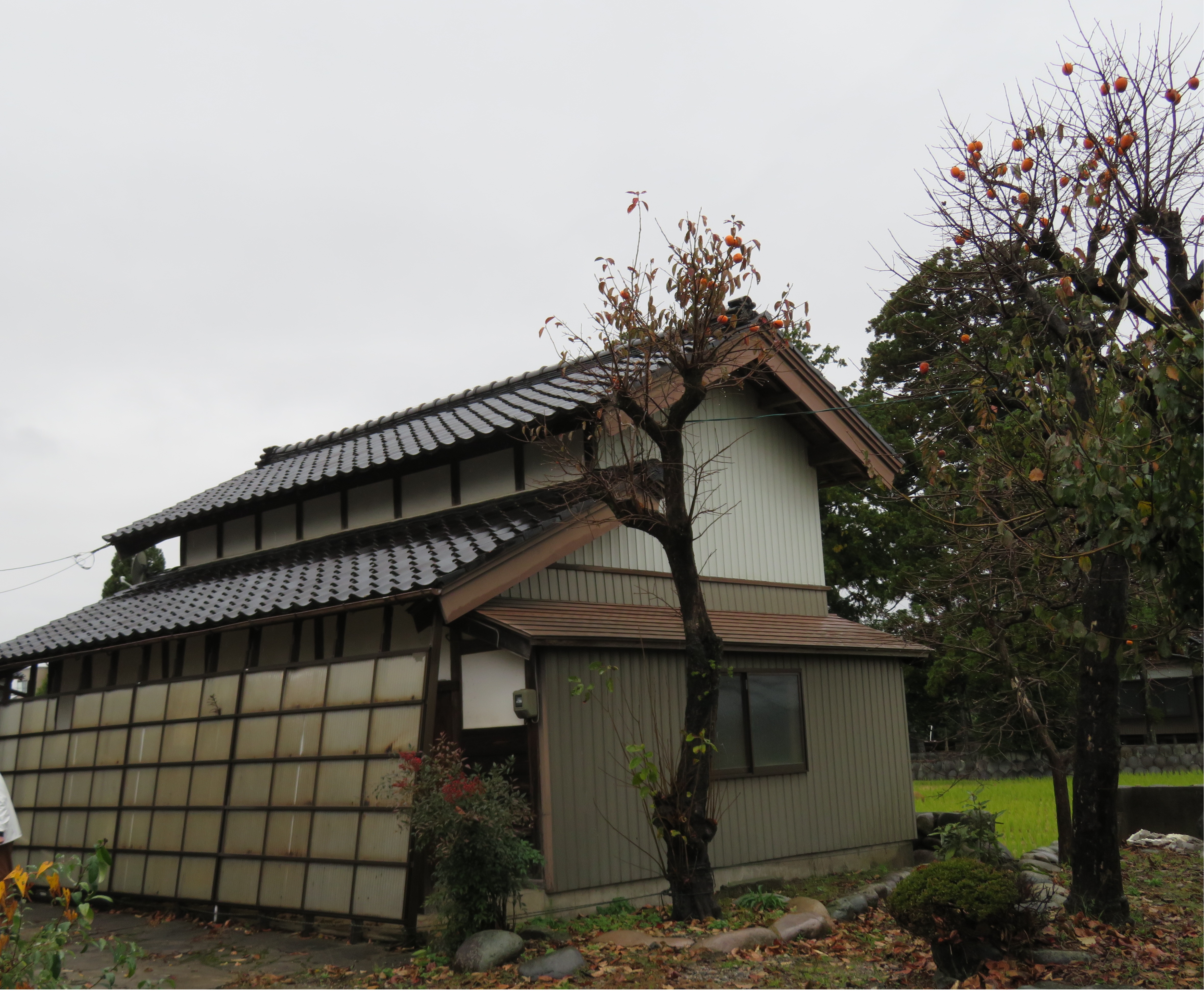 detached 砺波市